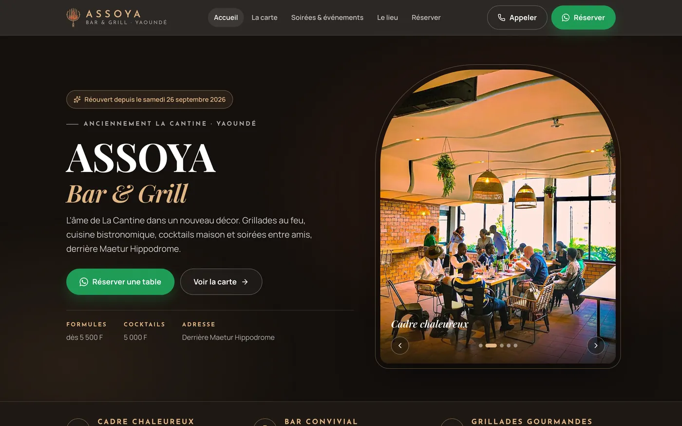 ASSOYA homepage (website concept)