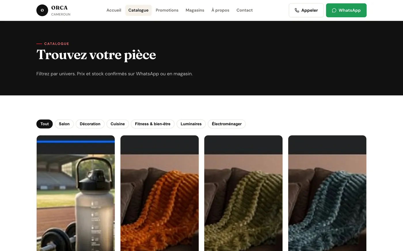 ORCA Cameroun — catalogue (website concept)