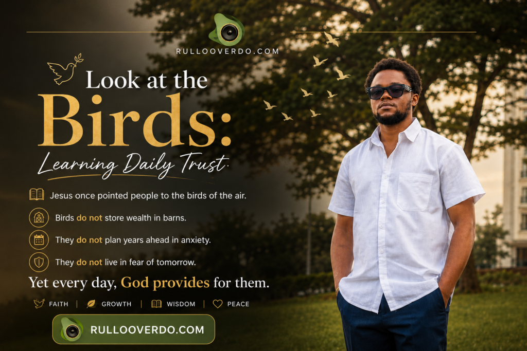 Look at the Birds